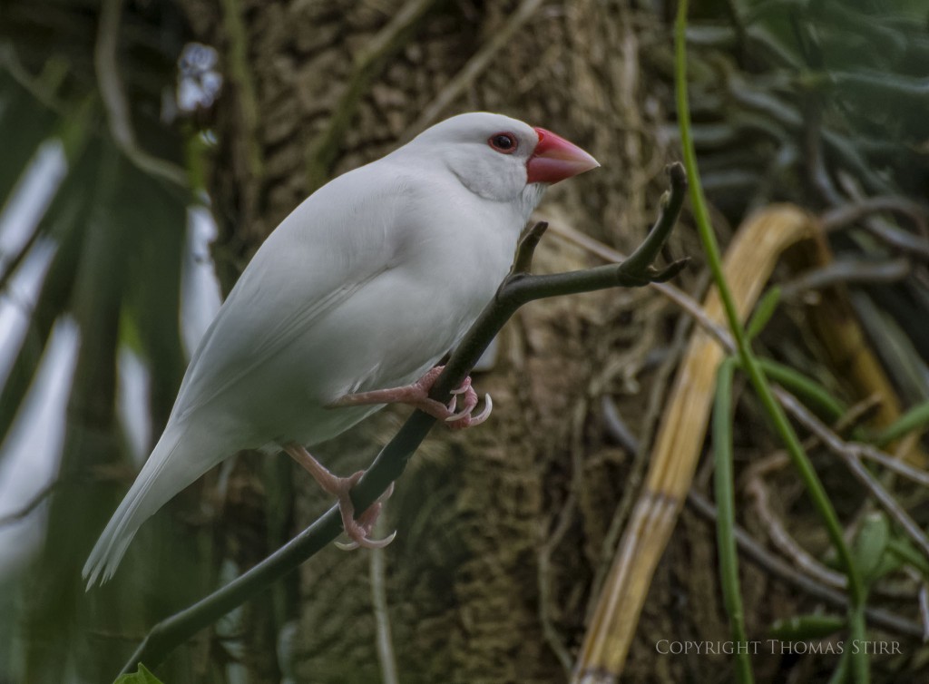 NIKON 1 V2 + 70.0-300.0 mm f/4.5-5.6 @ ISO 400, 1/250, f/5.6