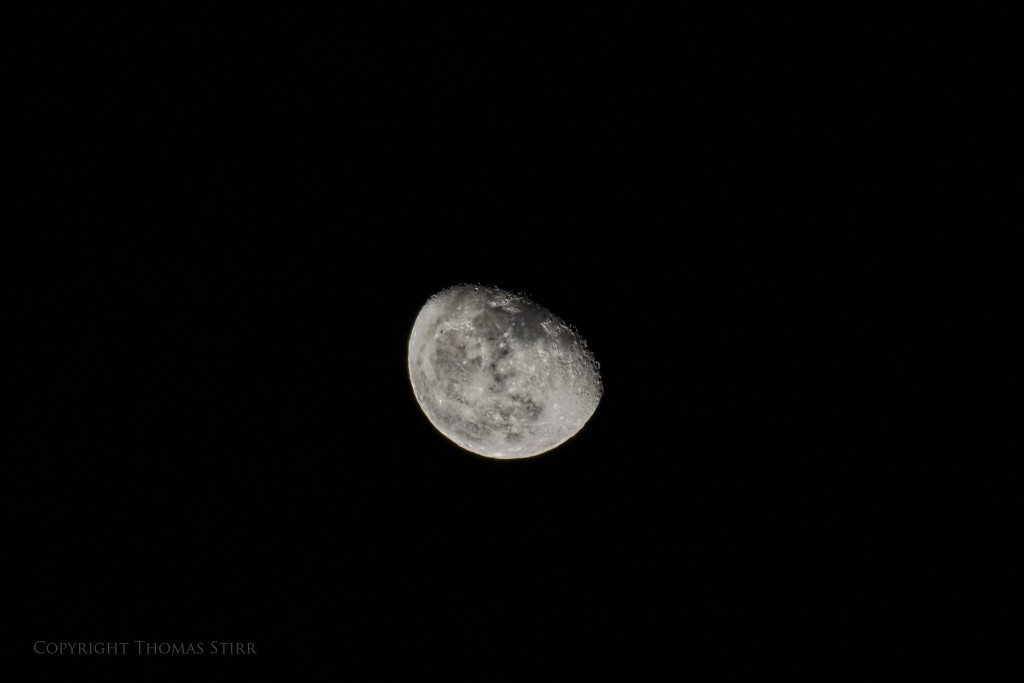 NIKON 1 V2 + 70-300mm f/4.5-5.6 @ 300mm, ISO 160, 1/125, f/8.0, hand held