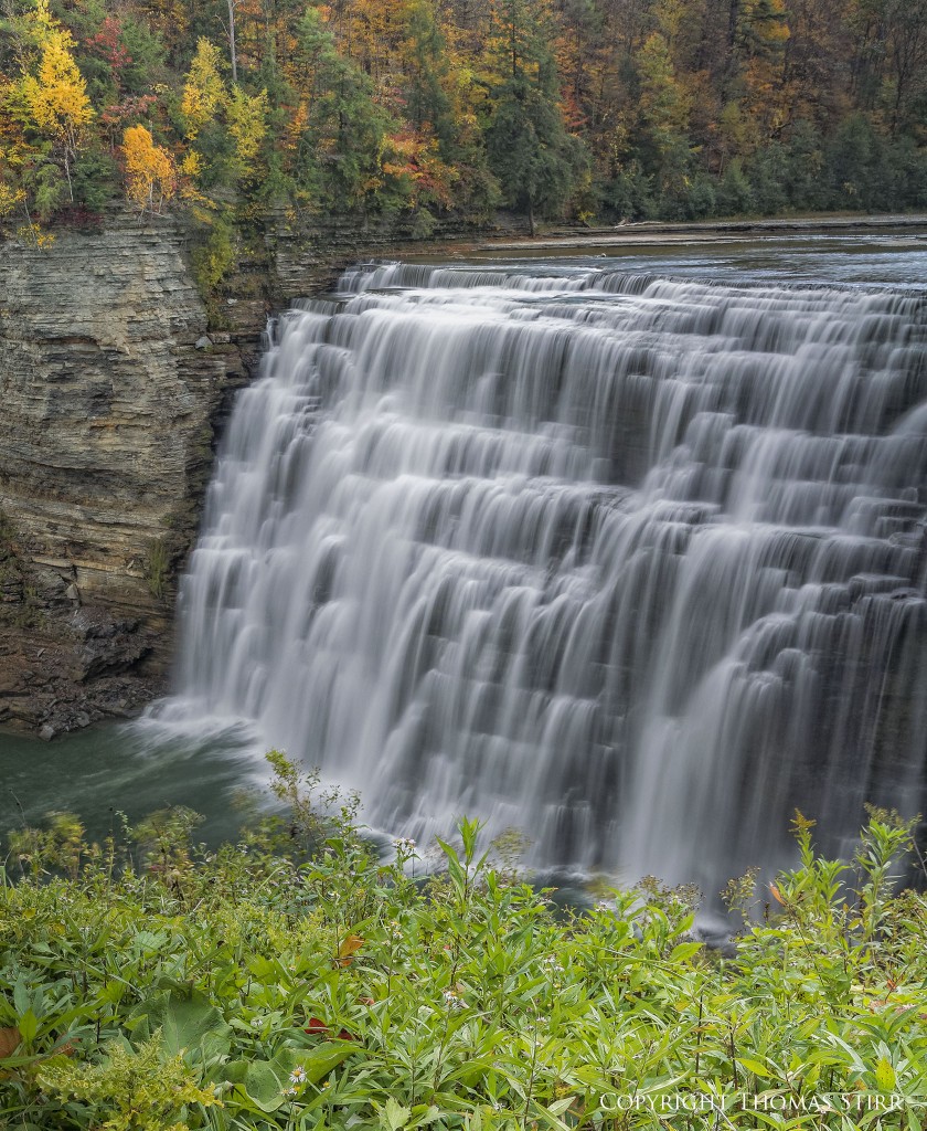 Letchworth 9