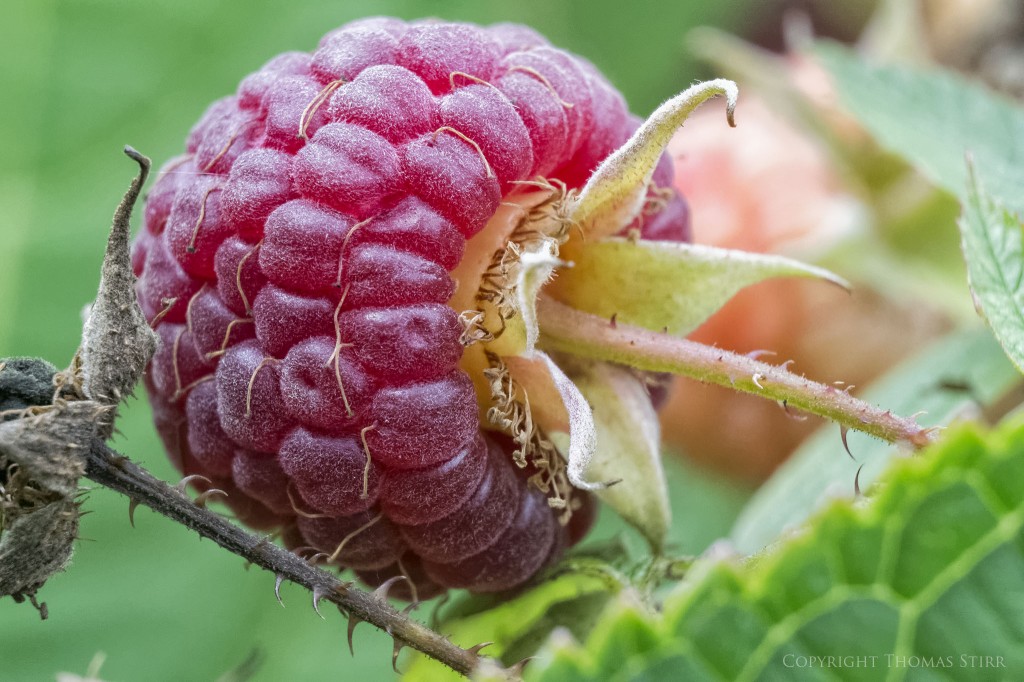 Vello extension tubes image 14