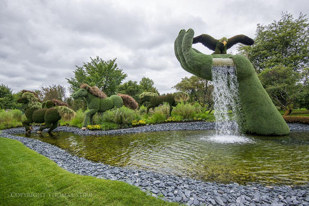 mosaiculture 10