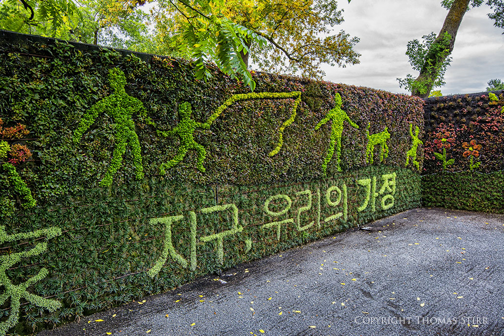 mosaiculture 11
