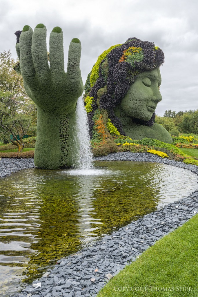 mosaiculture 14