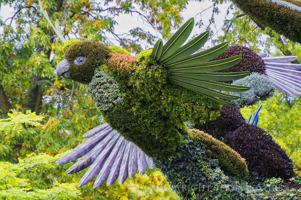 mosaiculture 2
