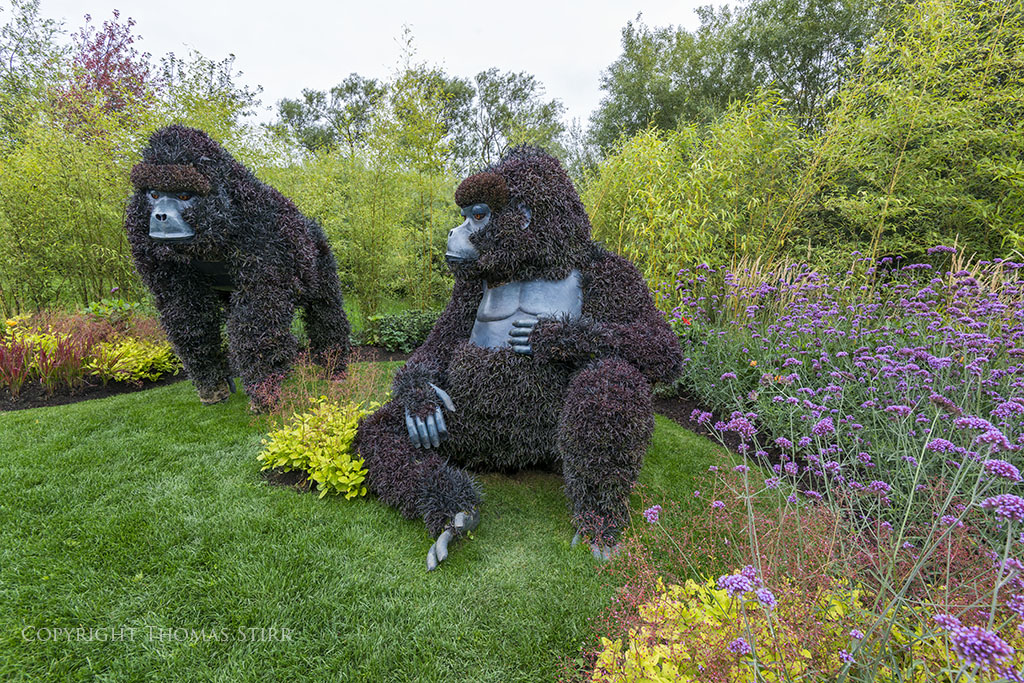 mosaiculture 3