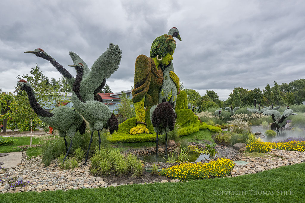 mosaiculture 5