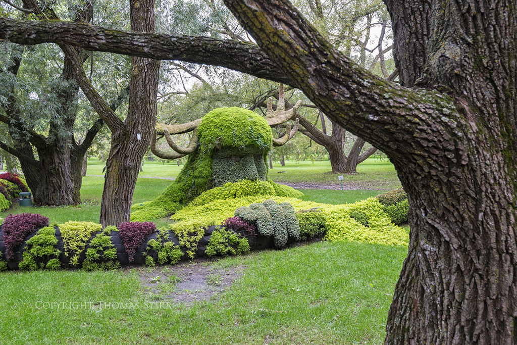 mosaiculture 6