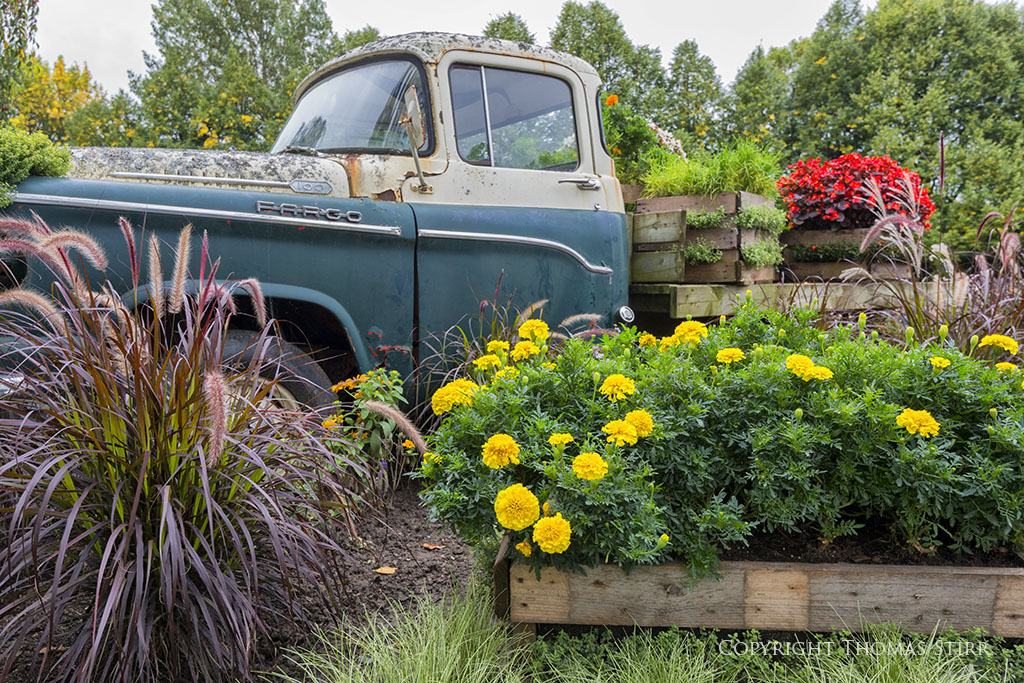 mosaiculture 7
