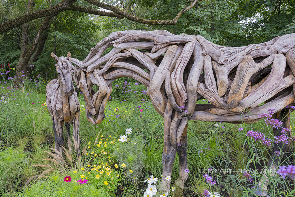 mosaiculture 8