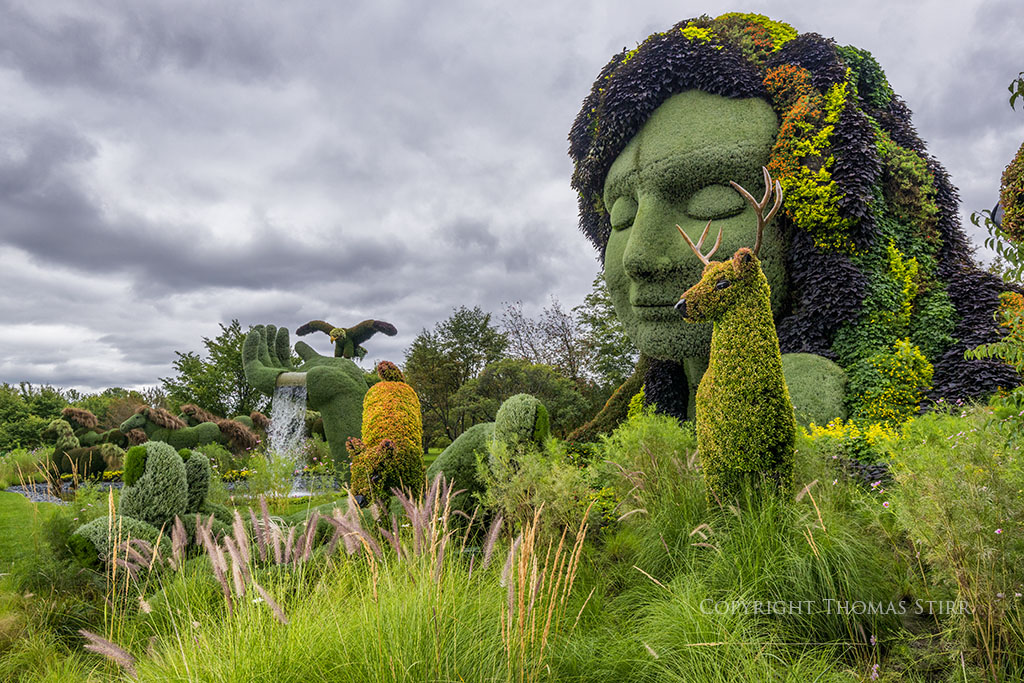 mosaiculture 9