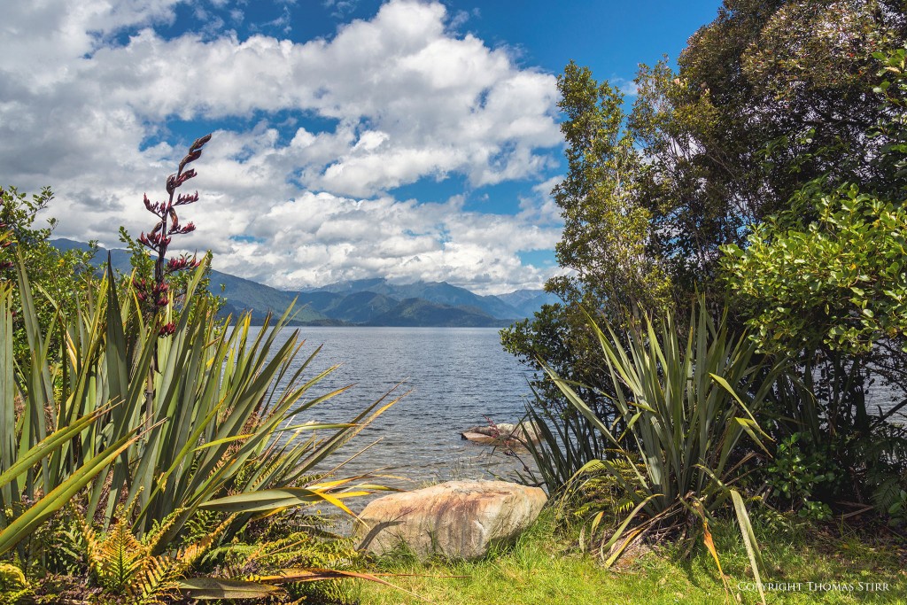 using foreground elements image 4