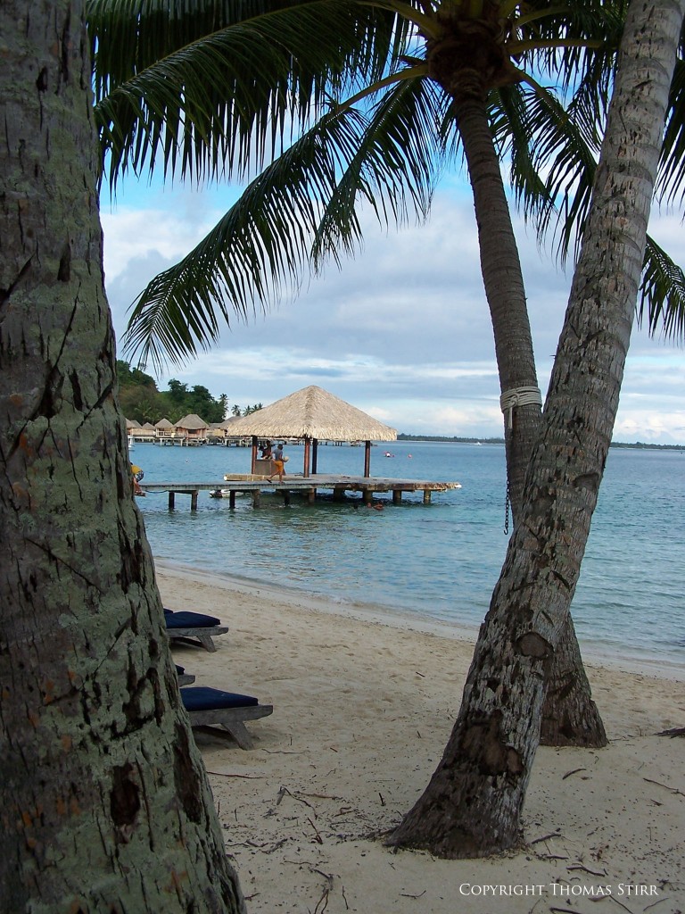 using foreground elements image 5