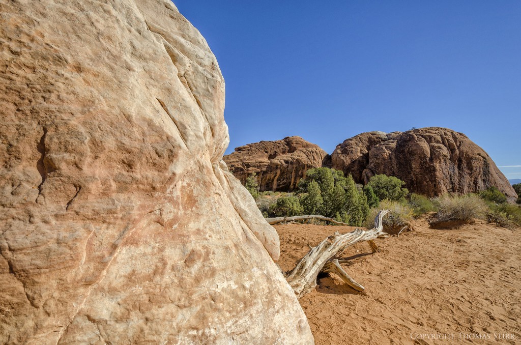 using foreground elements image 7