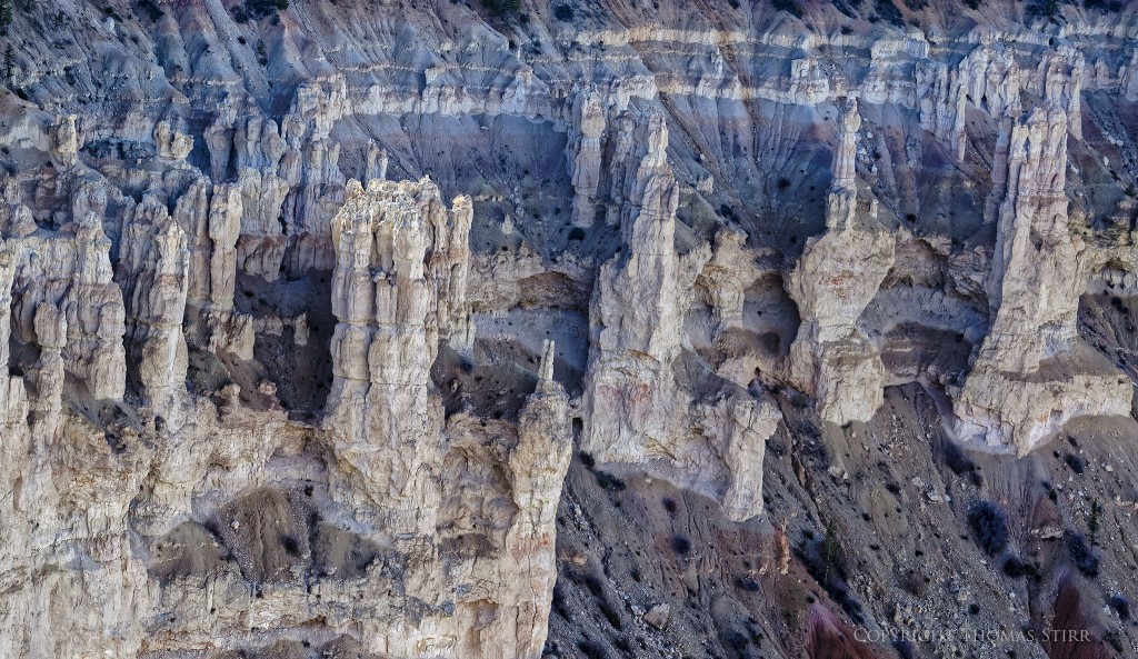Nikon D7000, Nikkor 70-300 f/4.5-5.6 VR, f/5.6, 1/500, ISO-400, 70mm
