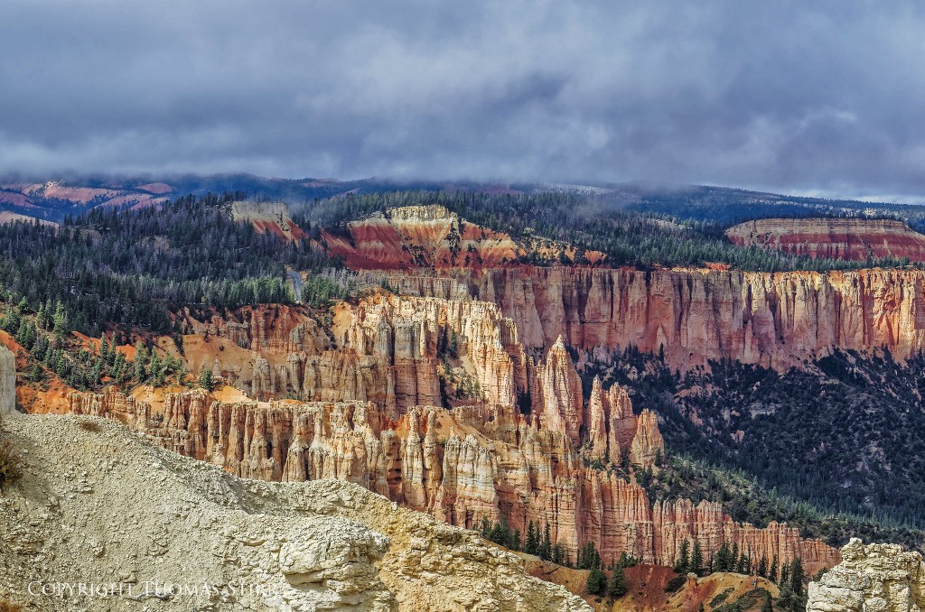 Nikon D7000, 70-300mm f/4.5-5.6 VR, f/11, 1/500, ISO-400