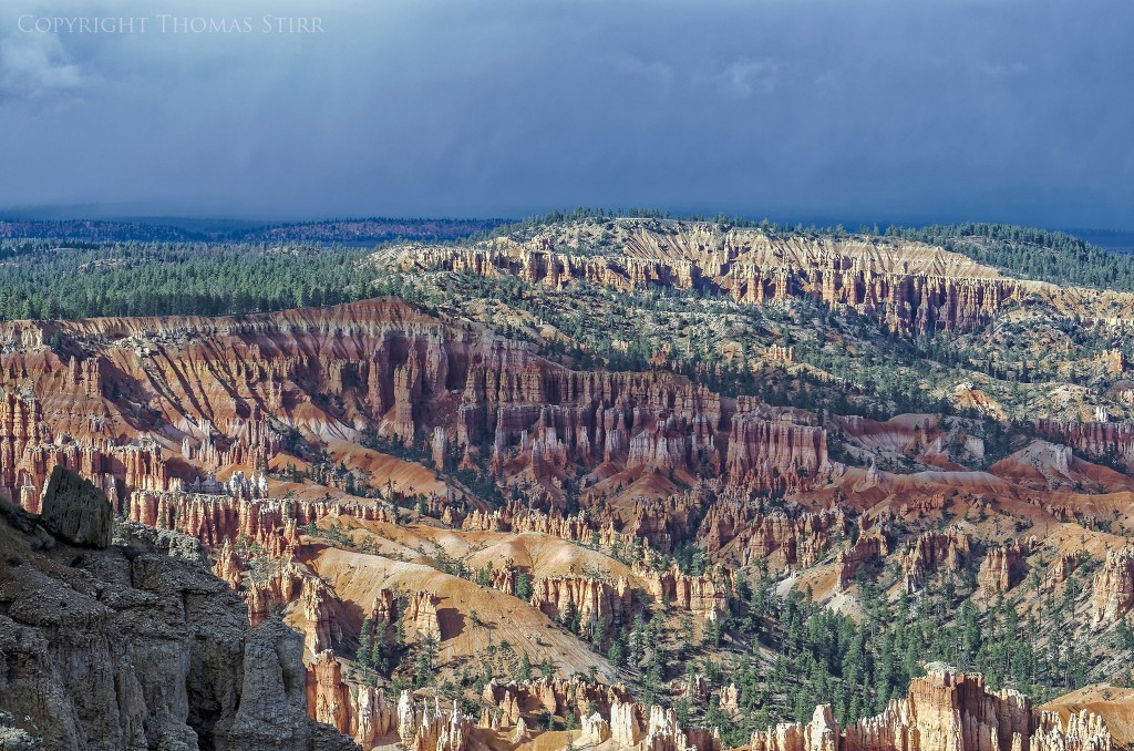 Nikon D7000, Nikkor 70-300 f/4.5-5.6 VR, f/7.1, 1/800, ISO-400, 75mm