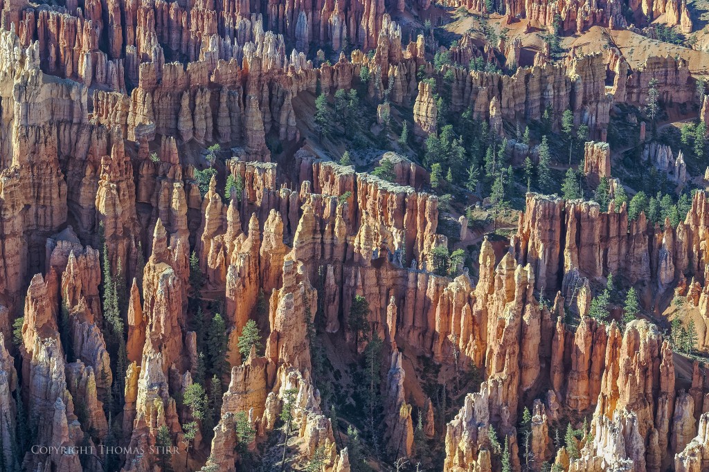 Nikon D7000, Nikkor 70-300 f/4.5-5.6 VR, f/8, 1/250, ISO-400, 70mm