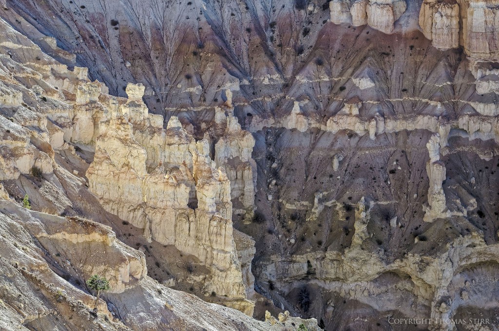 Nikon D7000, Nikkor 70-300 f/4.5-5.6 VR, f/6.3, 1/640, ISO-400, 70mm
