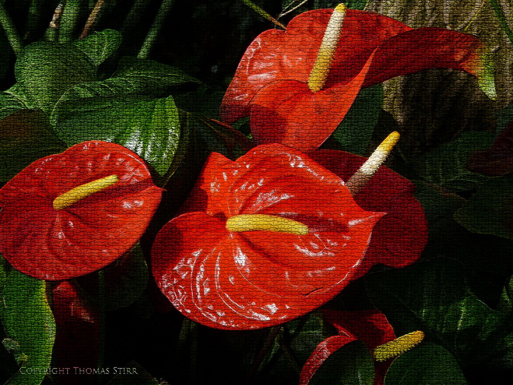 "Mosaic tile' effect applied to base image
