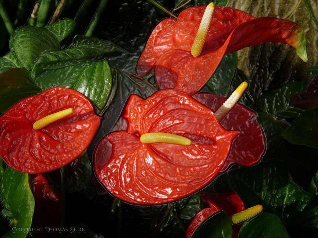 'Plastic Wrap' effect applied to base image