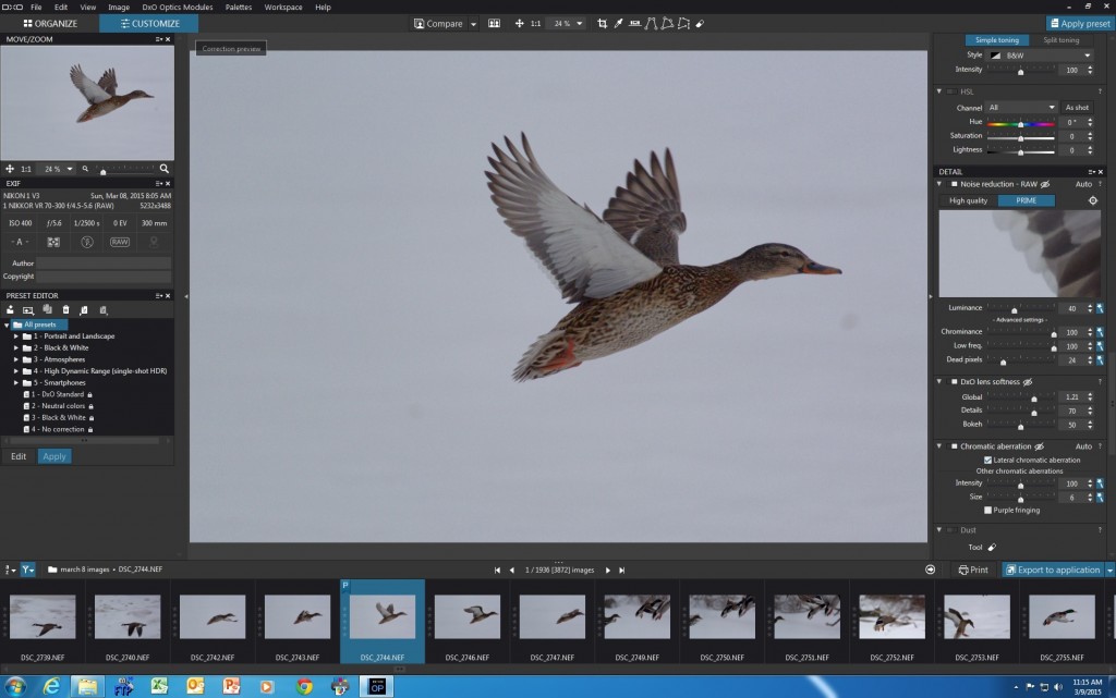 DxO PRIME noise reduction and Lens Softness adjustments applied