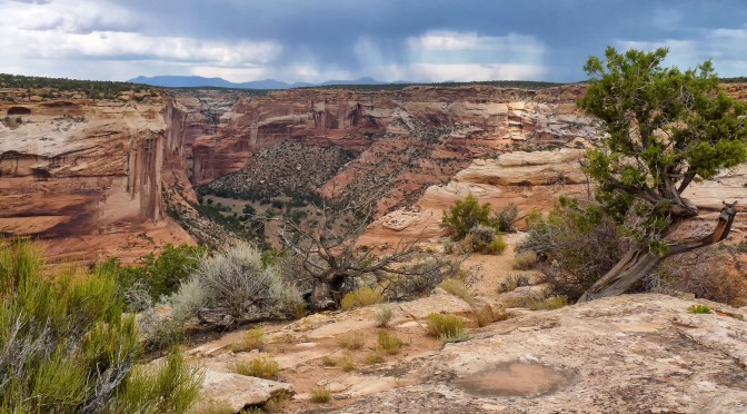 Post-processing of landscape images