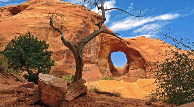 Favourite Landscape Images