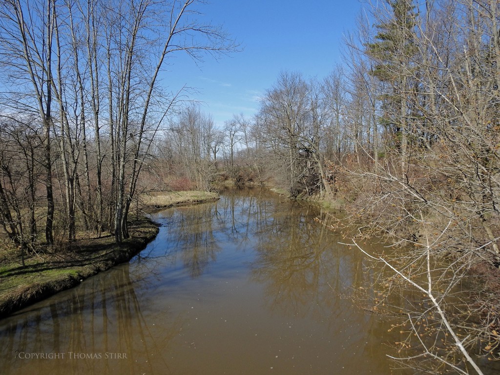 NIKON P900, f/2.8, 1/1250, ISO-100, 4mm, efov 24mm