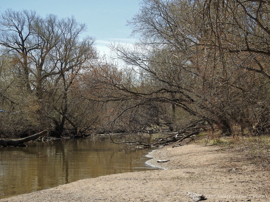 NIKON P900, f/4, 1/800, ISO-100, 15mm, efov 85mm