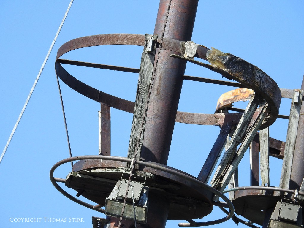 NIKON P900, f/5.6, 1/500, ISO-140, 116mm, efov 650mm