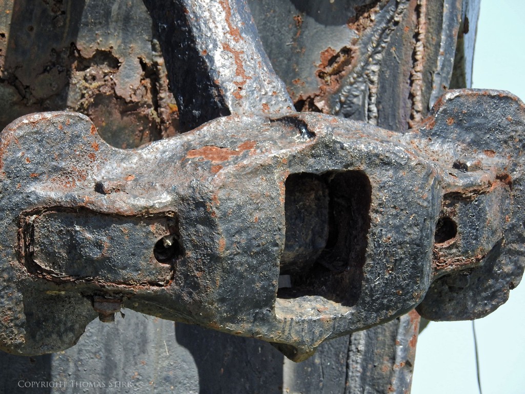 NIKON P900, f/5, 1/250, ISO-110, 98mm, efov 550mm