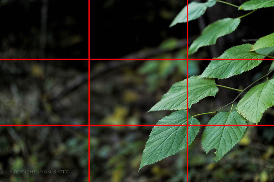 rule of thirds 3a