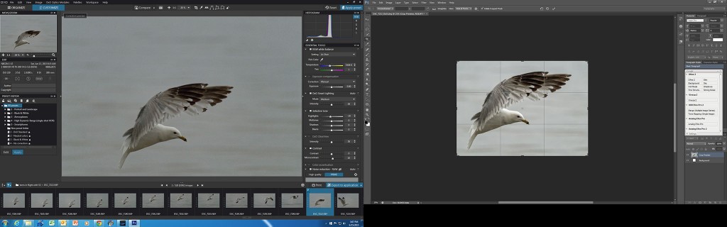 BIF cropping image 18