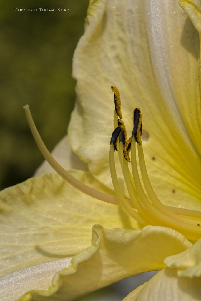 Nikon 1 J5 + Nikon 1 30-110mm f/3.8-5.6, f/6.3, 1/1000, ISO-160, 110mm