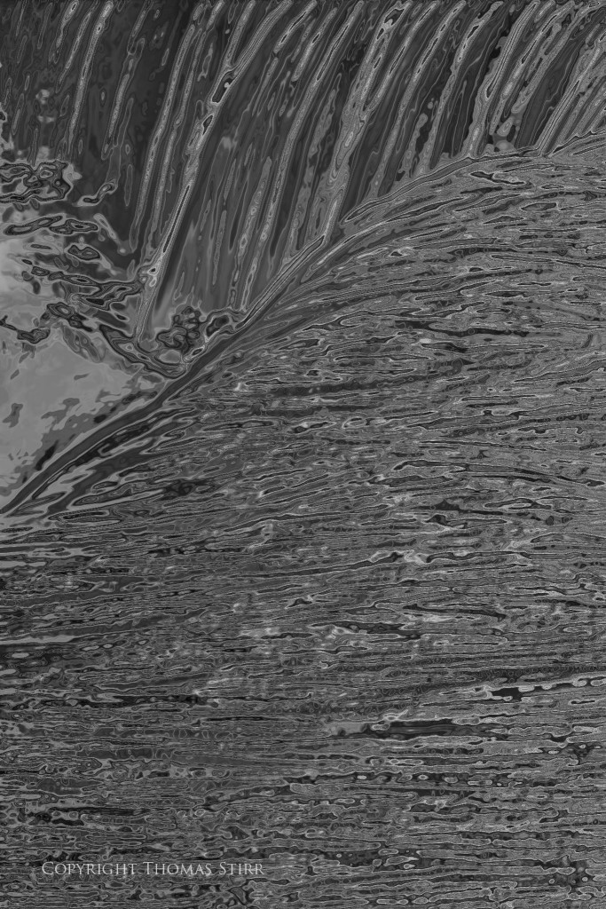 DSC_7277_DxOsmallchrome