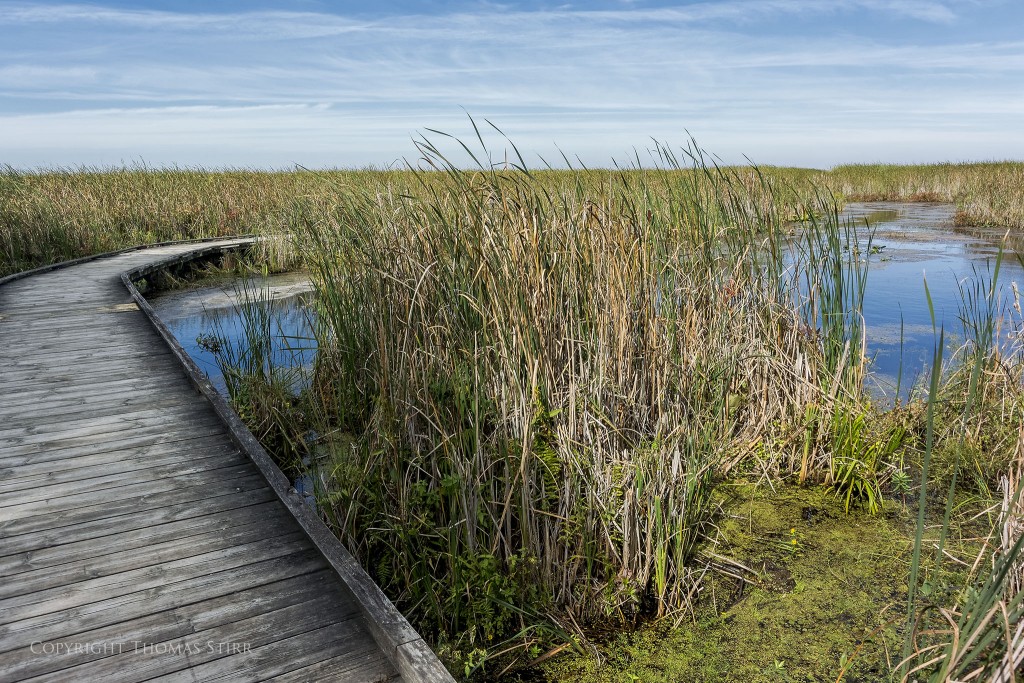 Nikon 1 V2 + Nikon 1 10-30mm f/3.5-5.6 non-PD zoom, 10mm, efov 27mm, f/6.3, 1/400, ISO-160