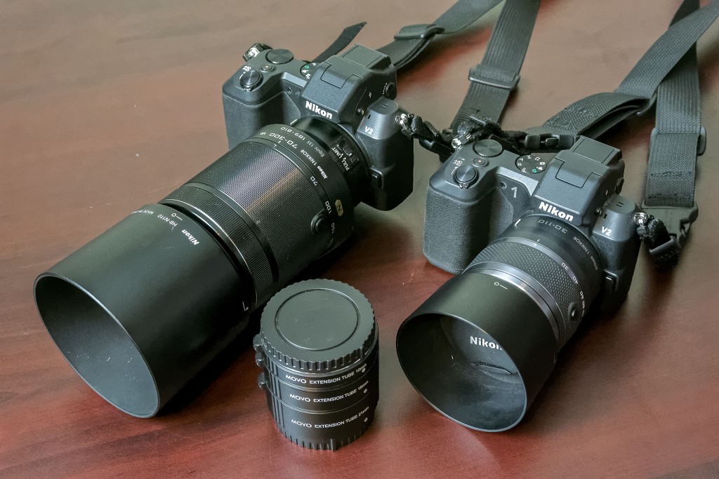 DSC_3844_DxOsmall
