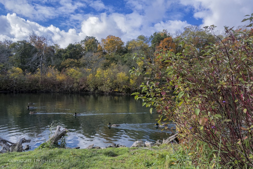 Nikon 1 V2 + Nikon 1 6.7-13mm f/3.5-5.6 @ 10mm, efov 27mm, f/6.3, 1/80, ISO-200