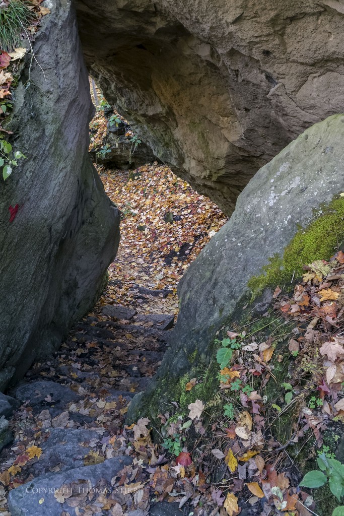 Nikon 1 V2 + Nikon 1 10-100mm PD, 15mm, f/5.6, -0.3 step, 1/50, ISO-800