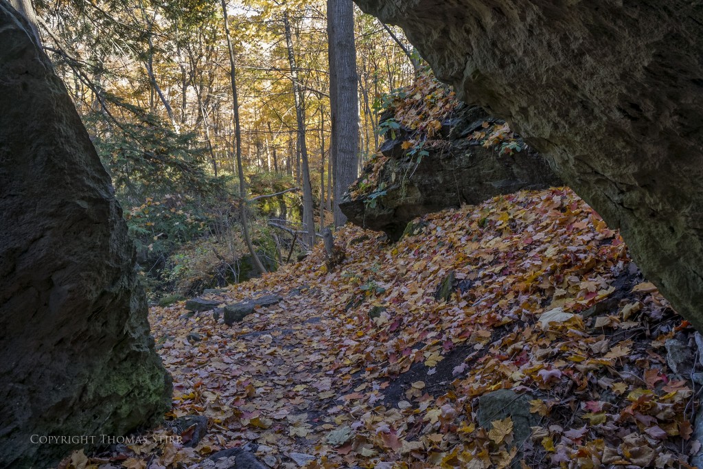 Nikon 1 V2 + Nikon 1 10-100mm PD f/4.5-5.6, 10mm, f/5.6, -0.3 step, 1/25, ISO-160