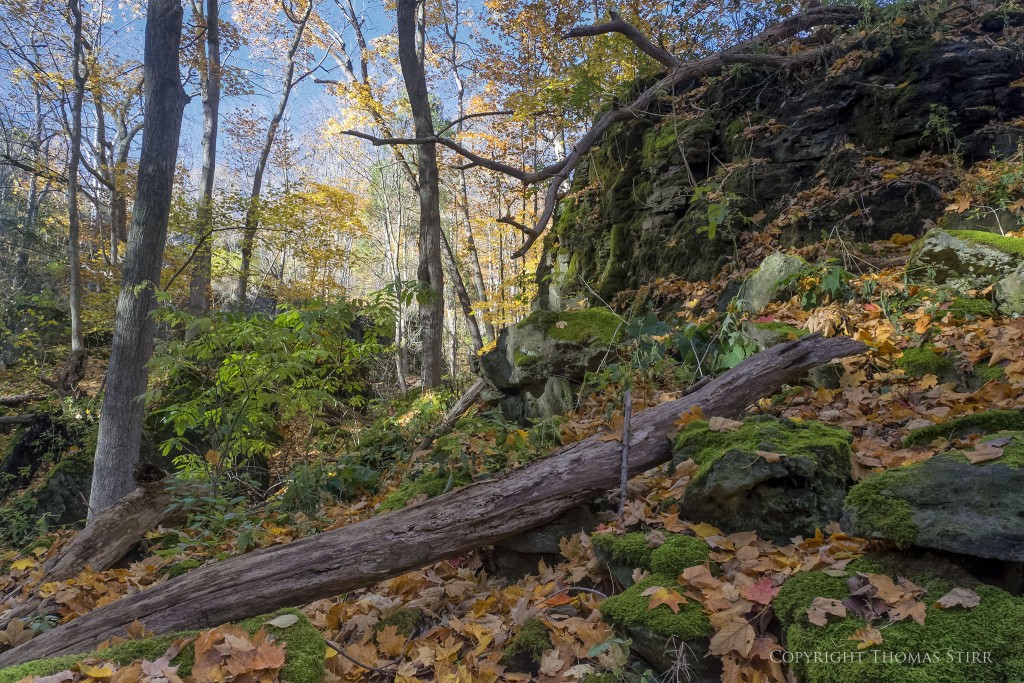 Nikon 1 V2 + Nikon 1 10-100mm PD f/4.5-5.6, 10mm, f/5.6, -0.7 step, 1/80, ISO-800