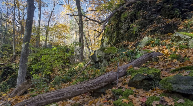 Niagara Glen Nature Reserve