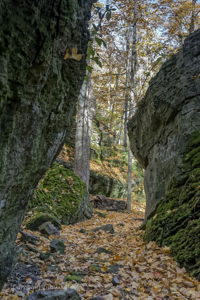 Nikon 1 V2 + Nikon 1 10-100mm PD f/4.5-5.6, 15mm, f/5.6, -0.7 step, 1/100, ISO-800