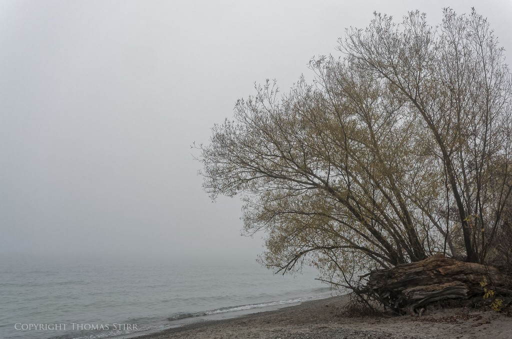 Nikon 1 V2 + Nikon 1 10-100mm f/4.5-5.6 PD, 13mm, f/5.6 -0.7 step, 1/500, ISO-160
