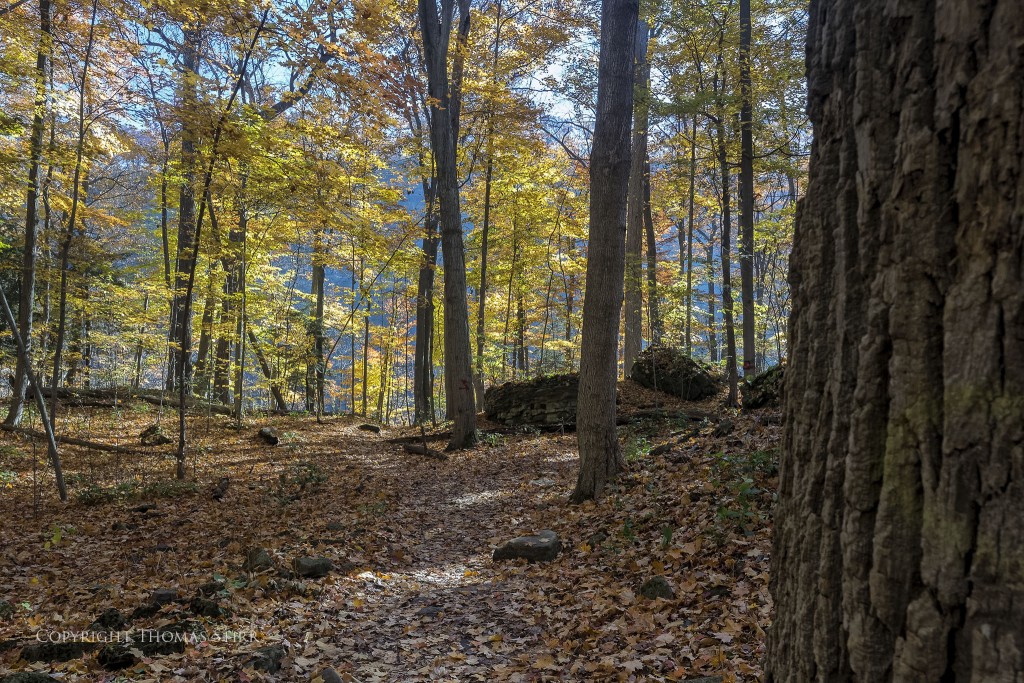 Nikon 1 V2 + Nikon 1 6.7-13mm f/3.5-5.6, 10m, f/8, -0.7 step, 1/30, ISO-400