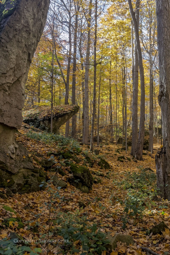Nikon 1 V2 + Nikon 1 6.7-13mm f/3.5-5.6, 13mm, f/8, -0.7 step, 1/80, ISO-400