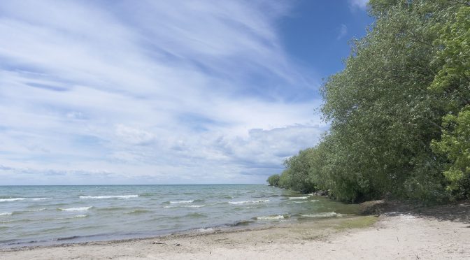 OpticsPro 11 Presets with Landscape Images