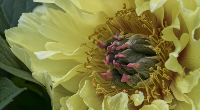 Beauty of details