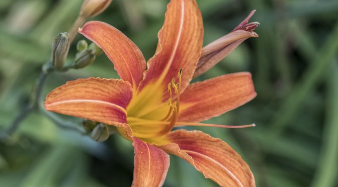 Focal length and depth-of-field