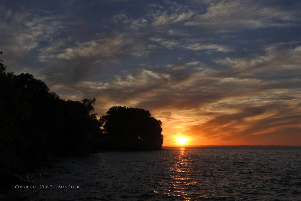 Nikon 1 J5 + 1 Nikon 10-100mm f/4-5.6 @14mm, efov 38mm, f/5.6, -1 step, 1/640, ISO-160, Sunlight WB